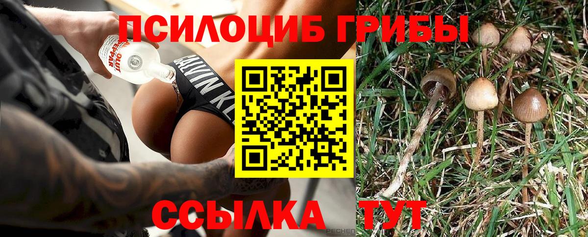 Галлюциногенные грибы Magic Shrooms Осинники