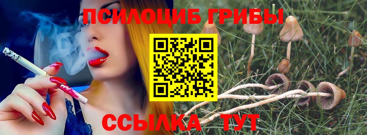 Осинники  Псилоцибиновые грибы Magic Shrooms  купить  цена  Вход с VPN 